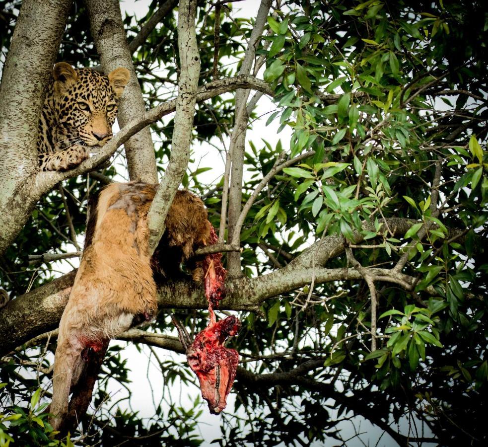 Enkusero Mara Aitong Esterno foto
